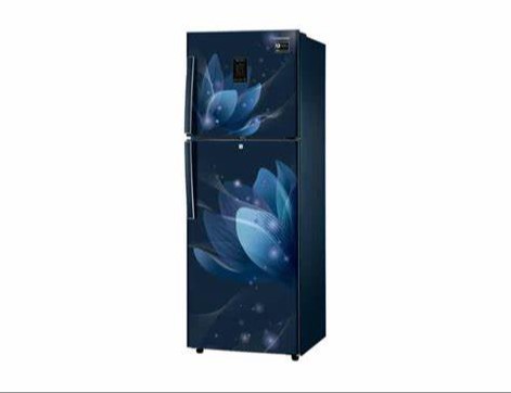 Samsung 253L Double Door Refrigerator Digital Inverter Technology RT28A3022GS By PandoraBiz.com