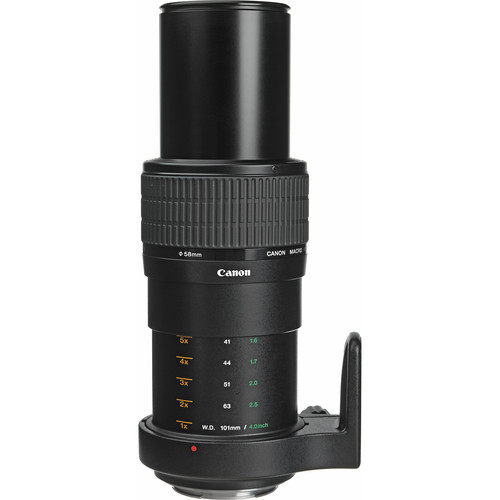 Canon MP-E65mm f/2.8 1-5x Macro