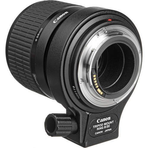 Canon MP-E65mm f/2.8 1-5x Macro