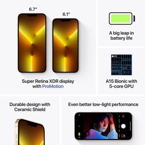 iPhone 13 Pro-1 TB(Gold)