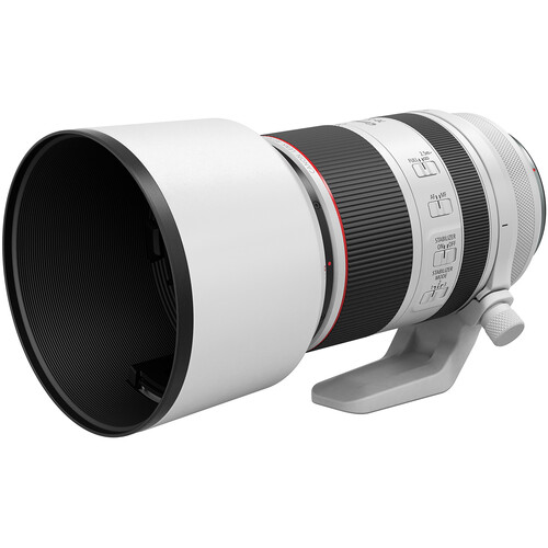 Canon EF70-300mm f/4-5.6L IS USM