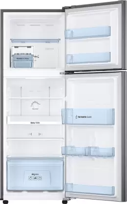 SAMSUNG 253 L Frost Free Double Door 2 Star Refrigerator (RT28A3022GS/HL)
