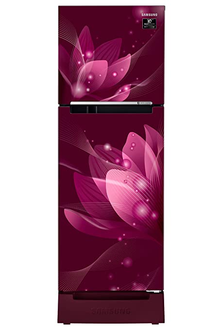 Samsung 253 L 2 Star Inverter Frost Free Double Door Refrigerator(RT28A3122R8)