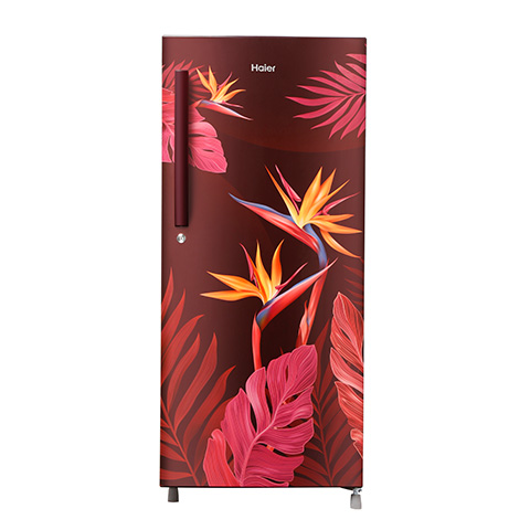 Haier 195 Litres, 5 Star Single Door Direct Cool Inverter Refrigerator (HRD-1955CRC-E)