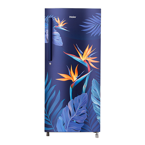 Haier 195 Litres,5 Star Single Door Direct Cool Inverter Refrigerator (HRD-1955CMC-E)