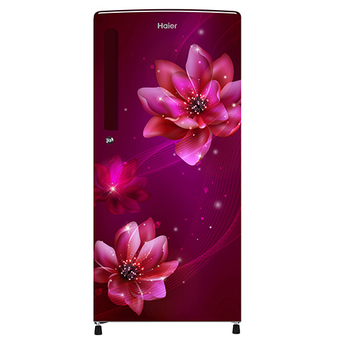 Haier 242 Litres,3 Star Big Direct Cool Inverter Refrigerator (HRD-2423-CRP-E)