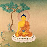 Profile picture of Insight Bhutan